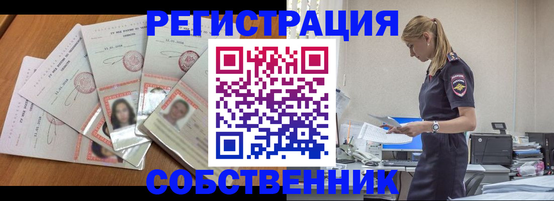временная регистрация надежно в Камчатской области